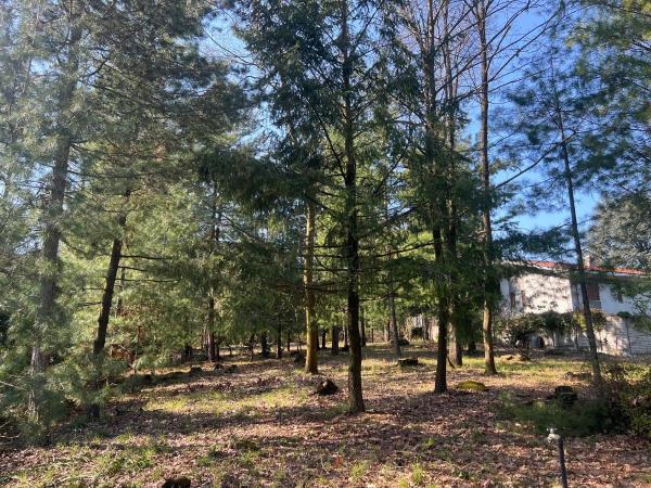 Vendita villa singola di 430 m2, Moncrivello (VC) - 17