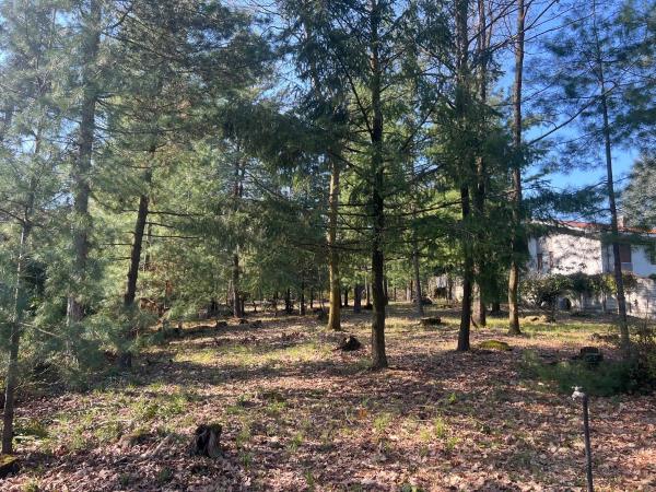 Vendita villa singola di 430 m2, Moncrivello (VC) - 18