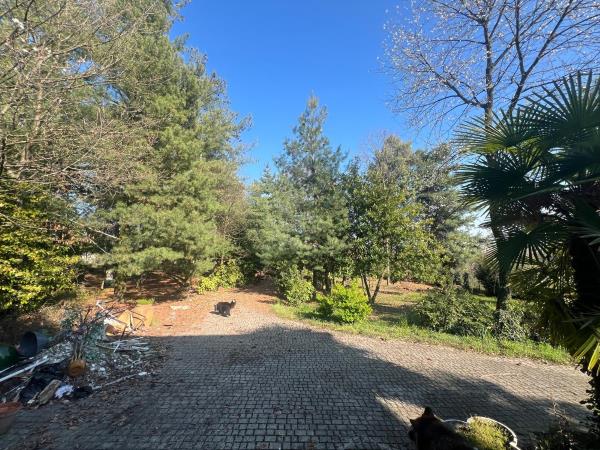 Vendita villa singola di 430 m2, Moncrivello (VC) - 14