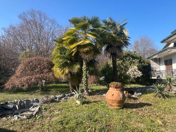 Vendita villa singola di 430 m2, Moncrivello (VC) - 16